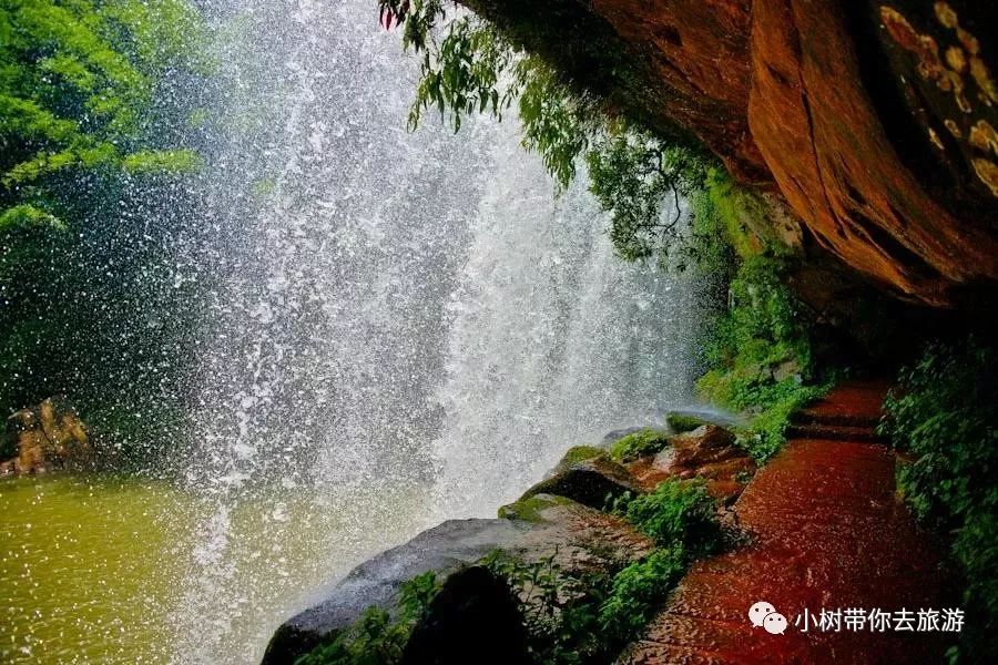 重庆天坑地缝旅游攻略-重庆天坑地缝景点视频(图13) 重庆天坑景区介绍_重庆天坑地缝旅游攻略_重庆天坑地缝景点视频
