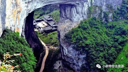 重庆天坑地缝旅游攻略-重庆天坑地缝景点视频(图16) 重庆天坑地缝旅游攻略_重庆天坑地缝景点视频_重庆天坑景区介绍