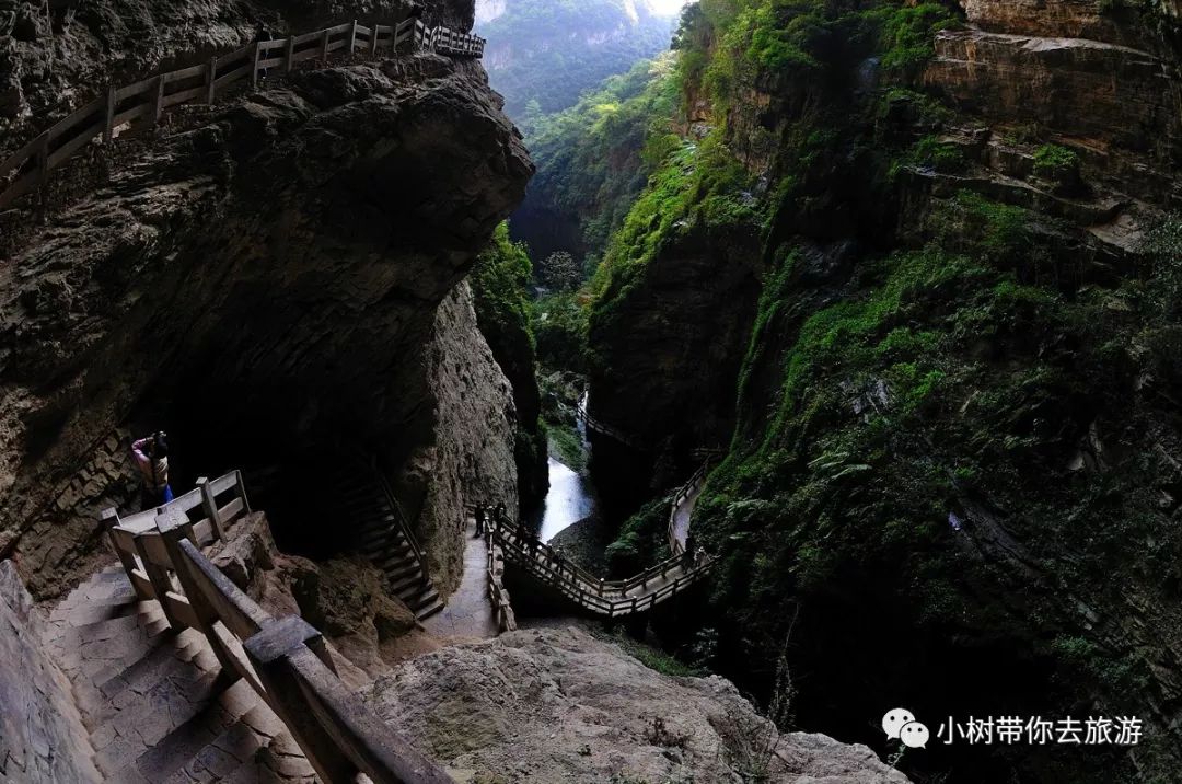 重庆天坑地缝旅游攻略-重庆天坑地缝景点视频(图17) 重庆天坑地缝旅游攻略_重庆天坑景区介绍_重庆天坑地缝景点视频