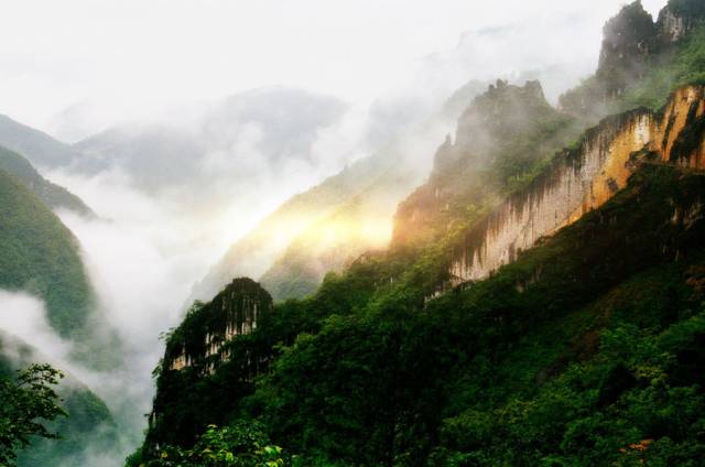 重庆天坑地缝旅游攻略-重庆天坑地缝景点视频(图18) 重庆天坑景区介绍_重庆天坑地缝旅游攻略_重庆天坑地缝景点视频