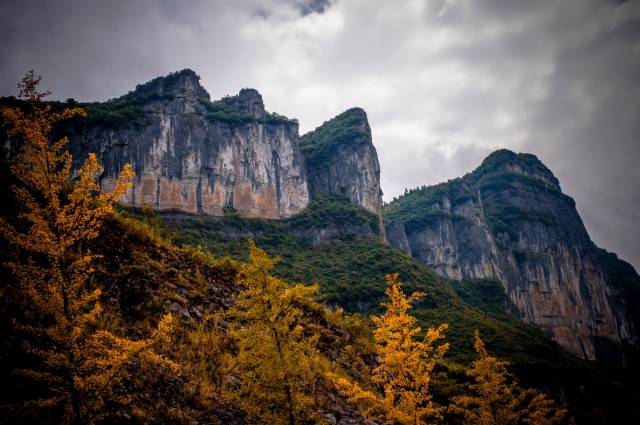 重庆天坑地缝旅游攻略-重庆天坑地缝景点视频(图19) 重庆天坑景区介绍_重庆天坑地缝旅游攻略_重庆天坑地缝景点视频