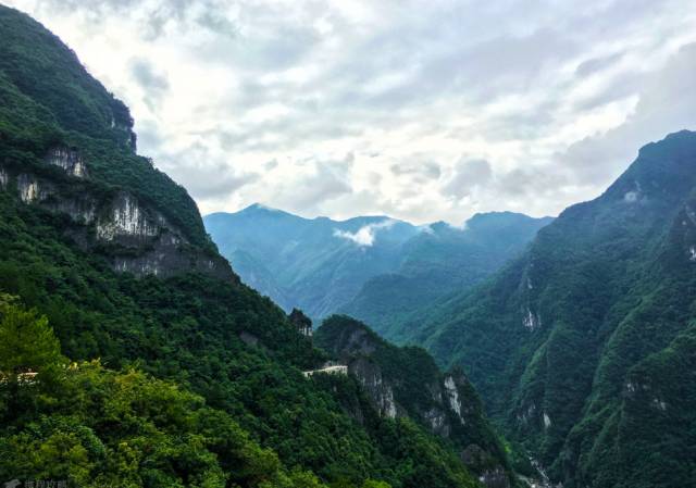 重庆天坑地缝旅游攻略-重庆天坑地缝景点视频(图20) 重庆天坑地缝旅游攻略_重庆天坑景区介绍_重庆天坑地缝景点视频