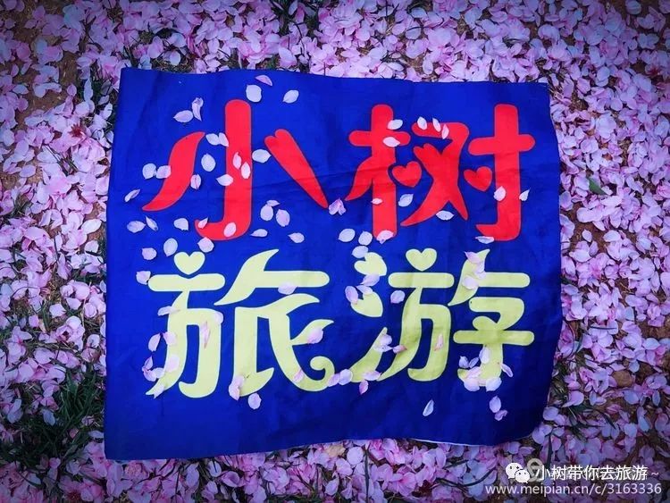 重庆天坑地缝旅游攻略-重庆天坑地缝景点视频(图24) 重庆天坑景区介绍_重庆天坑地缝旅游攻略_重庆天坑地缝景点视频