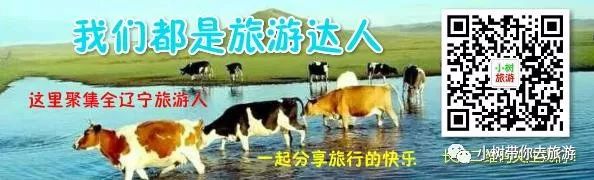 重庆天坑地缝旅游攻略-重庆天坑地缝景点视频(图25) 重庆天坑景区介绍_重庆天坑地缝景点视频_重庆天坑地缝旅游攻略