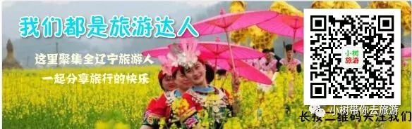 重庆天坑地缝旅游攻略-重庆天坑地缝景点视频(图26) 重庆天坑地缝旅游攻略_重庆天坑地缝景点视频_重庆天坑景区介绍