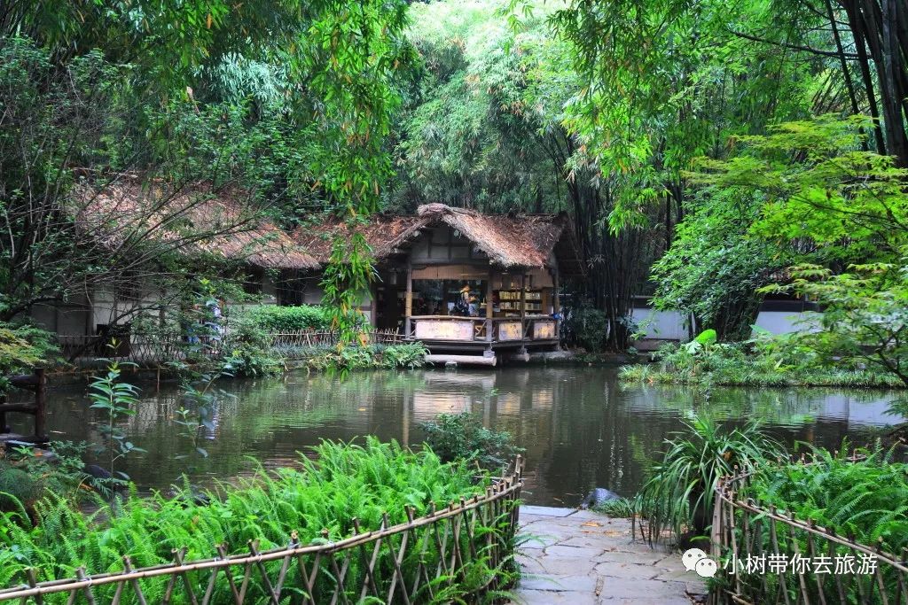 重庆天坑地缝旅游攻略-重庆天坑地缝景点视频(图6) 重庆天坑地缝旅游攻略_重庆天坑景区介绍_重庆天坑地缝景点视频