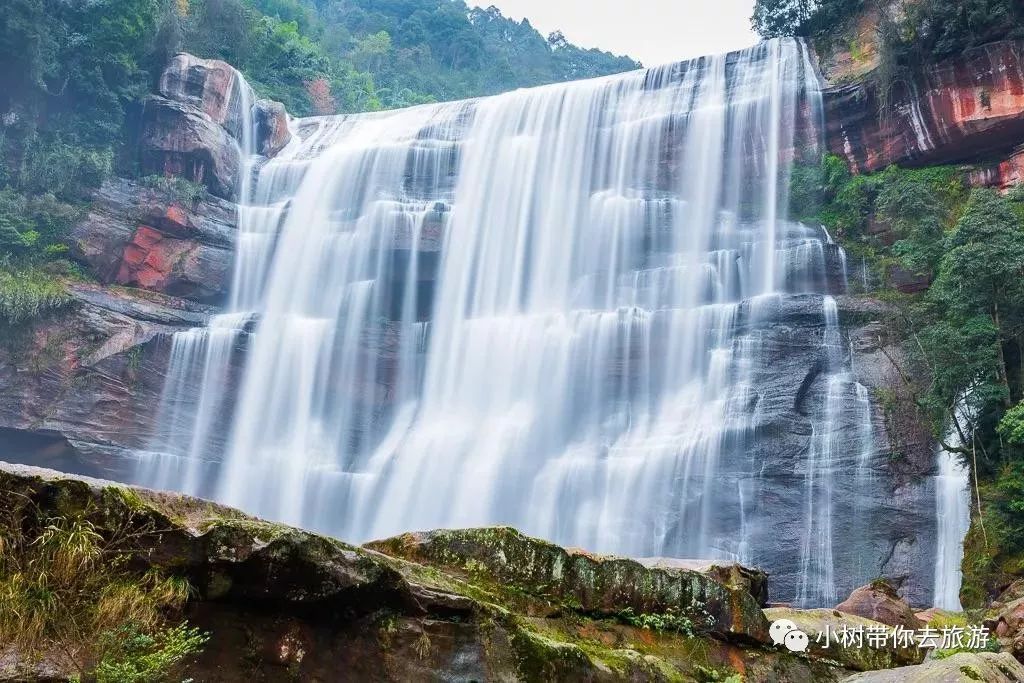 重庆天坑地缝旅游攻略-重庆天坑地缝景点视频(图9) 重庆天坑地缝旅游攻略_重庆天坑地缝景点视频_重庆天坑景区介绍