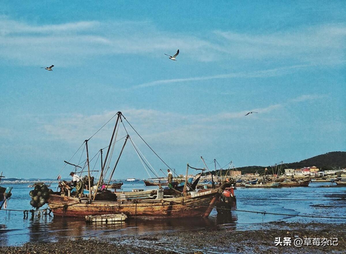 仙岛风景_哈仙岛旅游攻略_攻略旅游仙岛的路线