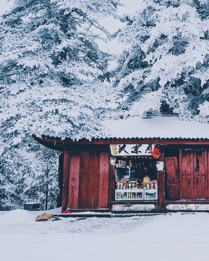 成都到峨眉山乐山旅游攻略_成都到峨眉山乐山旅游攻略_成都到峨眉山乐山旅游攻略