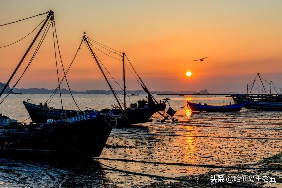 仙岛旅游发展有限公司_哈仙岛旅游攻略_仙岛风景