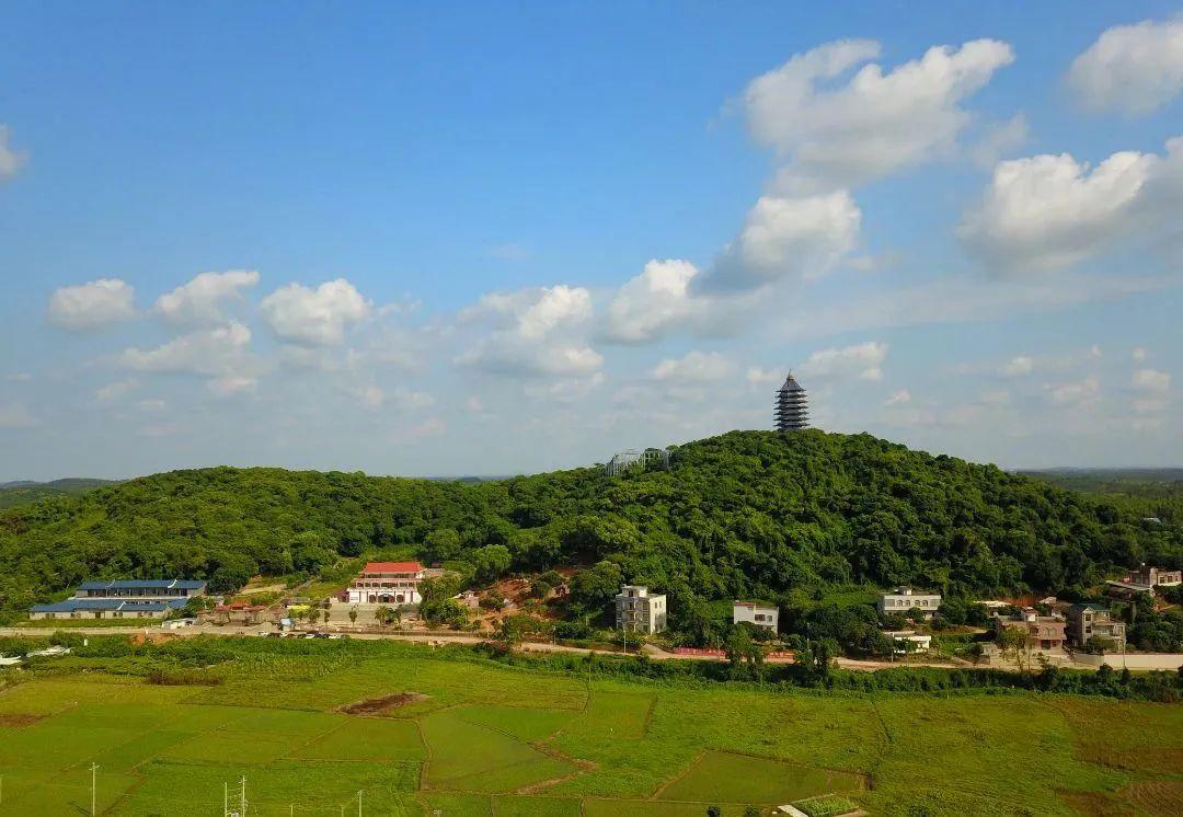 湛江攻略旅游市内景点推荐_湛江市区旅游攻略_湛江市内旅游攻略