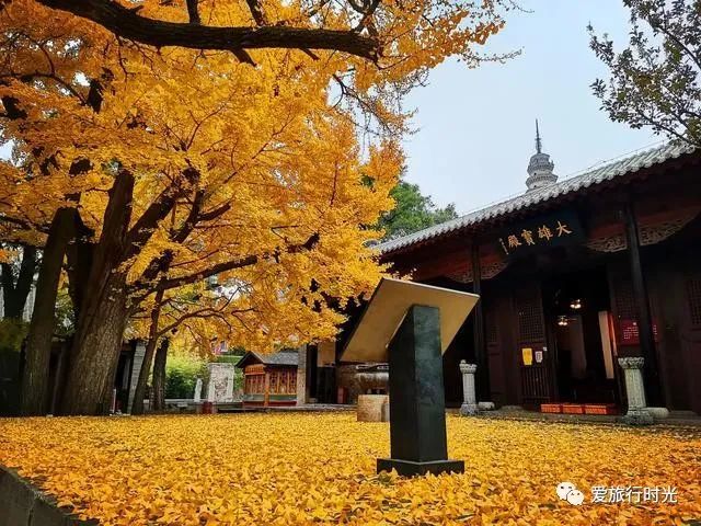西塘1日游_西塘一日游旅游攻略_游玩西塘攻略