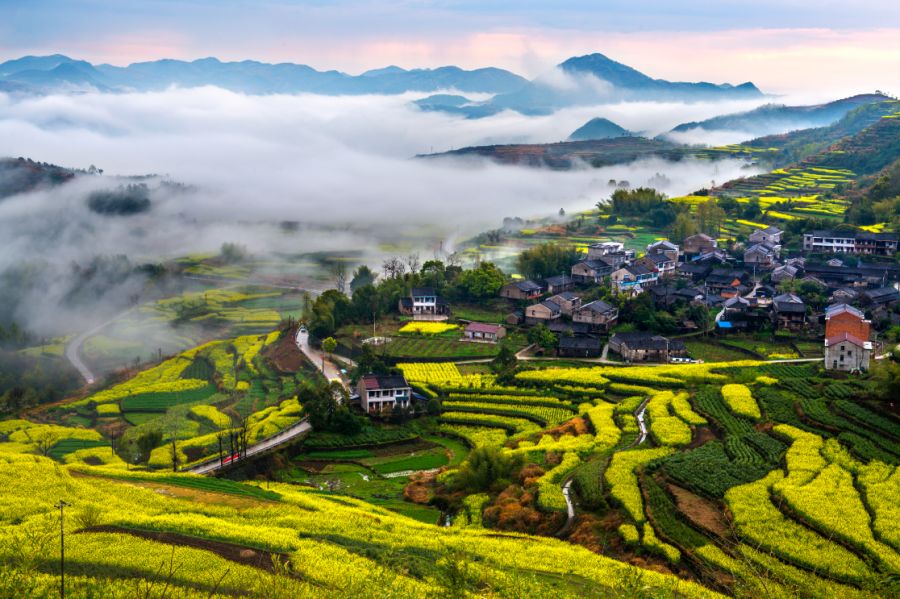 浙江天目山旅游攻略_浙江天目山景区门票价格_浙江省天目山景区
