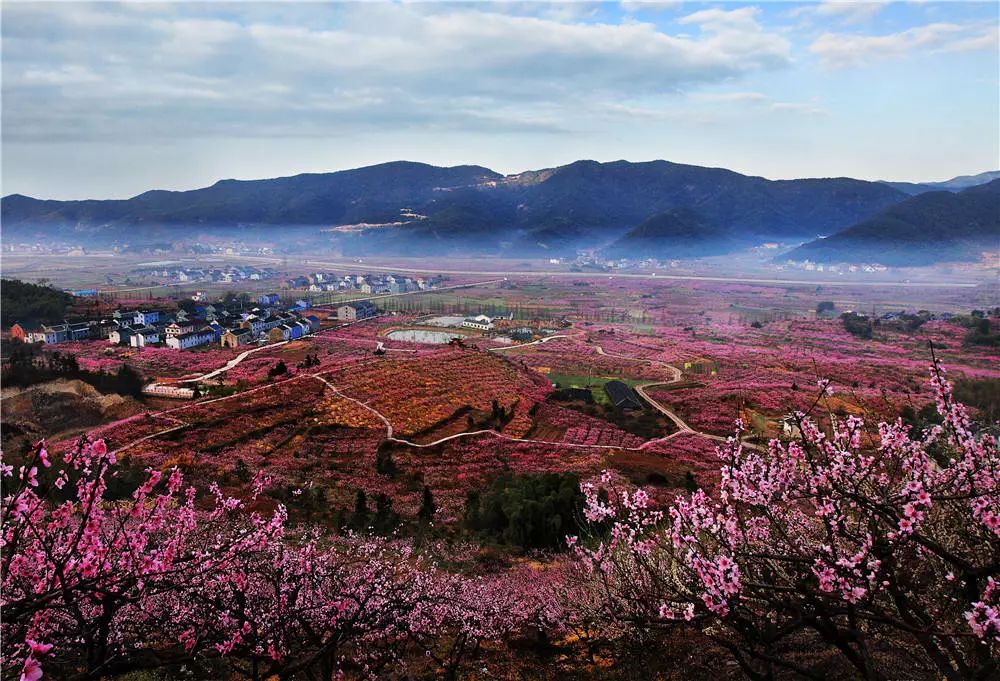 浙江省天目山景区_浙江天目山旅游攻略_浙江天目山景区门票价格