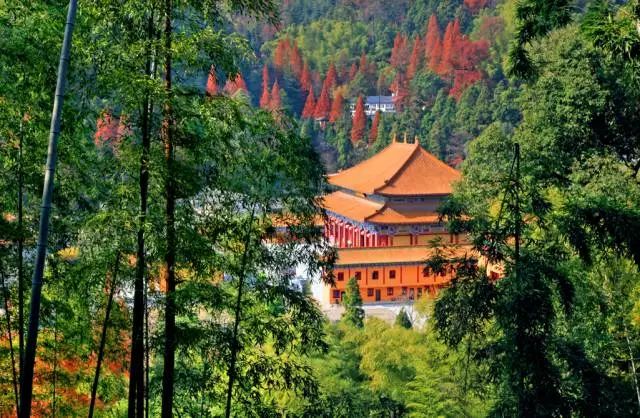 浙江天目山旅游攻略_浙江天目山属于什么山脉_攻略浙江旅游天目山路线