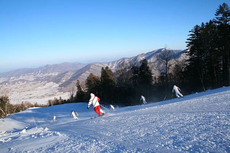 浙江天目山旅游攻略_浙江天目山属于什么山脉_攻略浙江旅游天目山路线