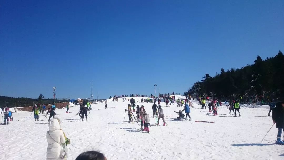 攻略浙江旅游天目山路线_浙江天目山旅游攻略_浙江天目山属于什么山脉
