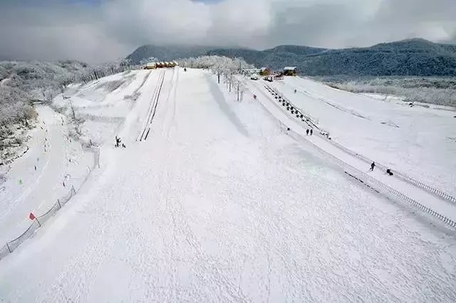 浙江天目山属于什么山脉_攻略浙江旅游天目山路线_浙江天目山旅游攻略