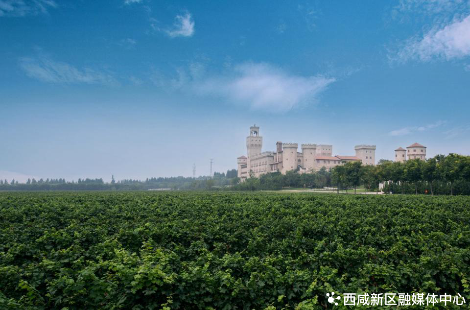 张裕酒庄旅游攻略_张裕瑞那庄园旅游攻略_张裕庄园门票价格