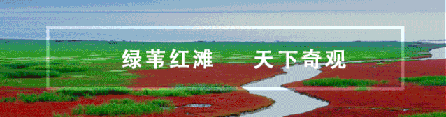 盘锦红海滩最美的地段_盘锦有红海滩一日游_盘锦红海滩旅游攻略