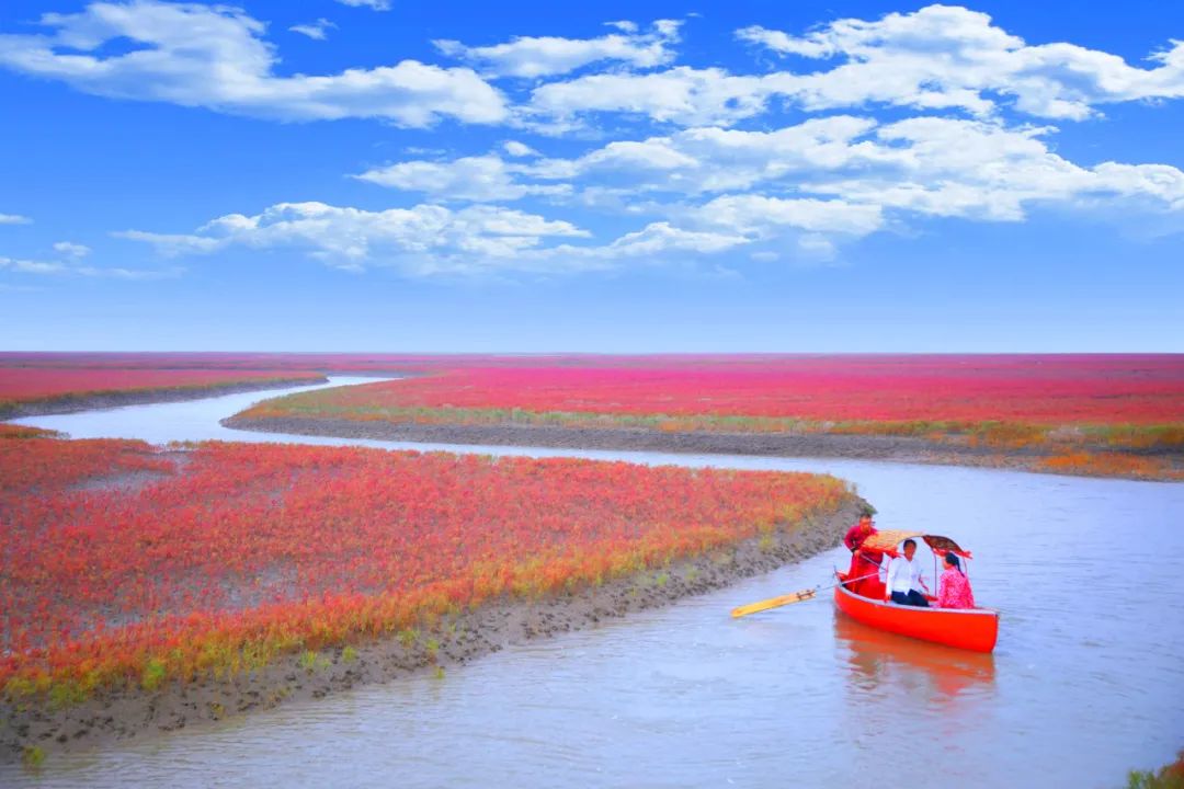 盘锦红海滩旅游攻略_盘锦红海滩最美的地段_盘锦有红海滩一日游
