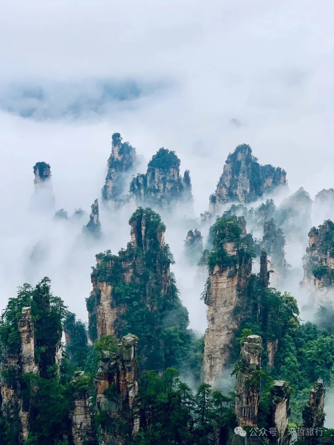 长沙至凤凰旅游攻略_凤凰长沙_长沙凤凰旅游