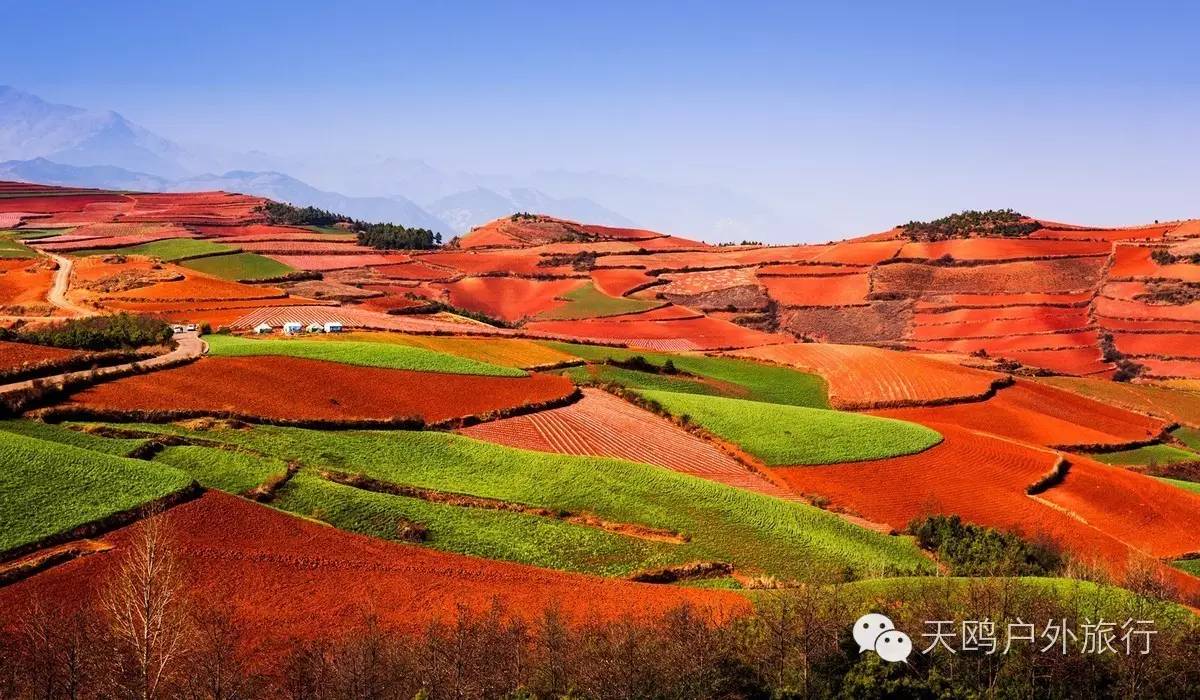 云南冬天旅游攻略_云南旅游冬天_云南冬天旅游必去的景点
