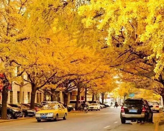 辽宁自驾游线路_辽宁旅游自驾游攻略_辽宁自驾游最佳路线图