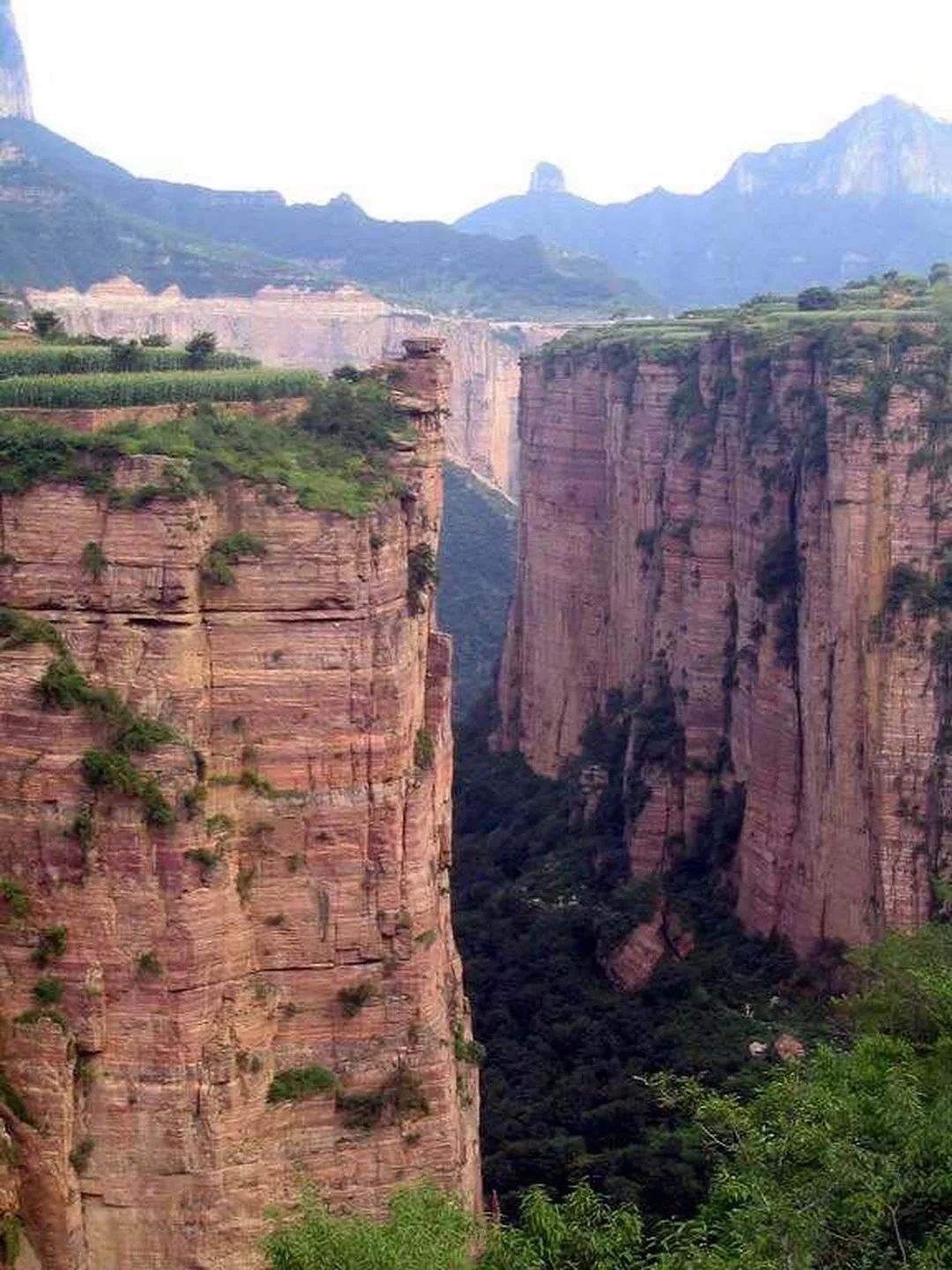 王莽岭自驾游_王莽岭景色_王莽岭旅游攻略