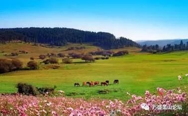 武隆天坑地缝景点介绍_武隆天坑地缝旅游攻略_武隆天坑地缝在哪