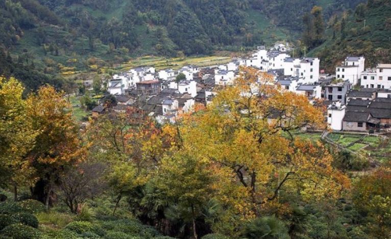 1月黄山旅游_黄山十一月旅游攻略_黄山最好的旅游月份