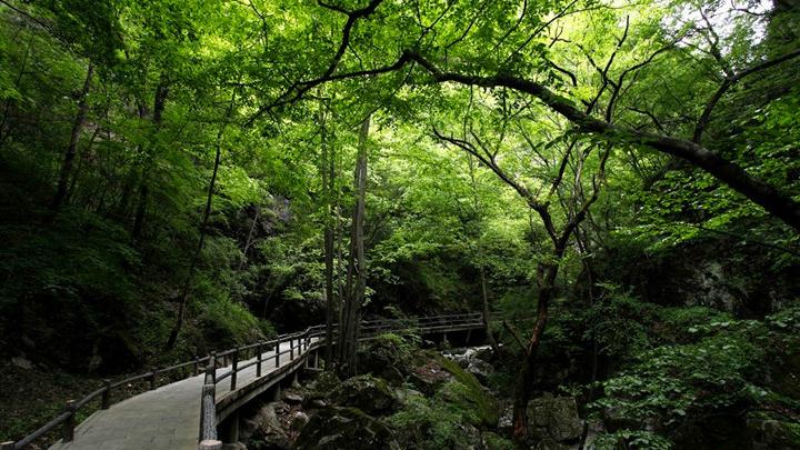 牛背梁两日游_牛背梁旅游攻略_牛背梁门票多少钱