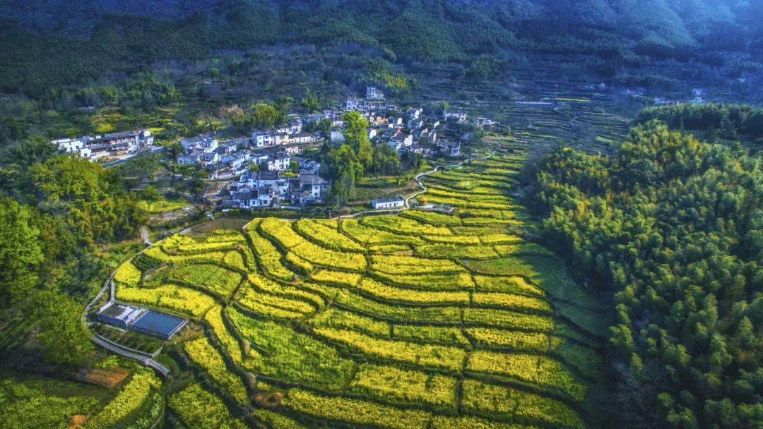 安徽渔梁坝旅游攻略_安徽水坝_新安江渔梁坝