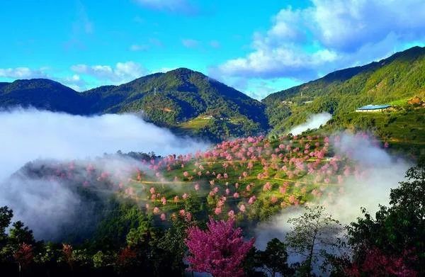 普洱思茅哪里好玩_普洱思茅网红打卡地_云南普洱思茅旅游攻略