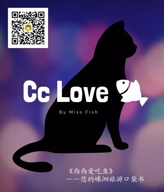 杭州到嵊泗旅游团_杭州到嵊泗旅游攻略_杭州到嵊泗二日游