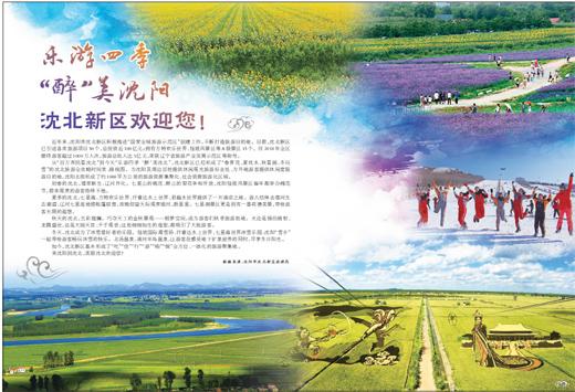 七星海旅游攻略_七星海旅游度假特区_七星海景区