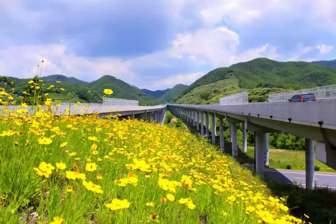 沈阳出发去丹东二日游_沈阳去丹东自驾游_沈阳到丹东旅游攻略