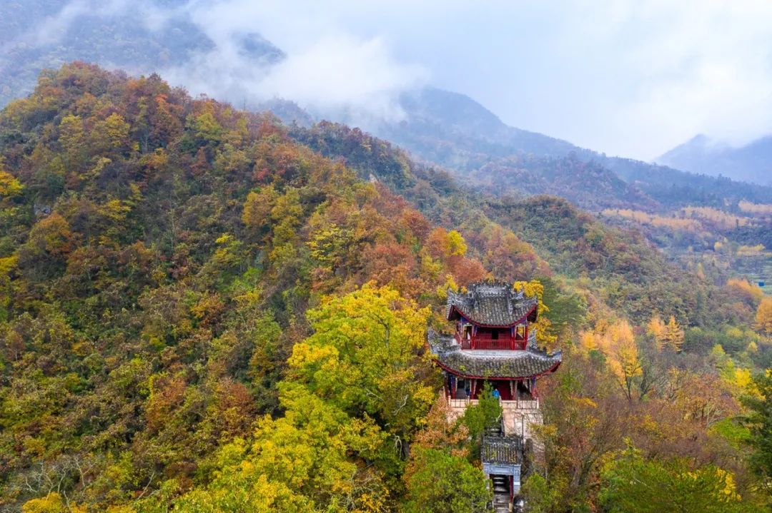 留坝紫柏山旅游攻略_留坝紫柏山国家森林公园旅游_留坝紫柏山森林公园电话