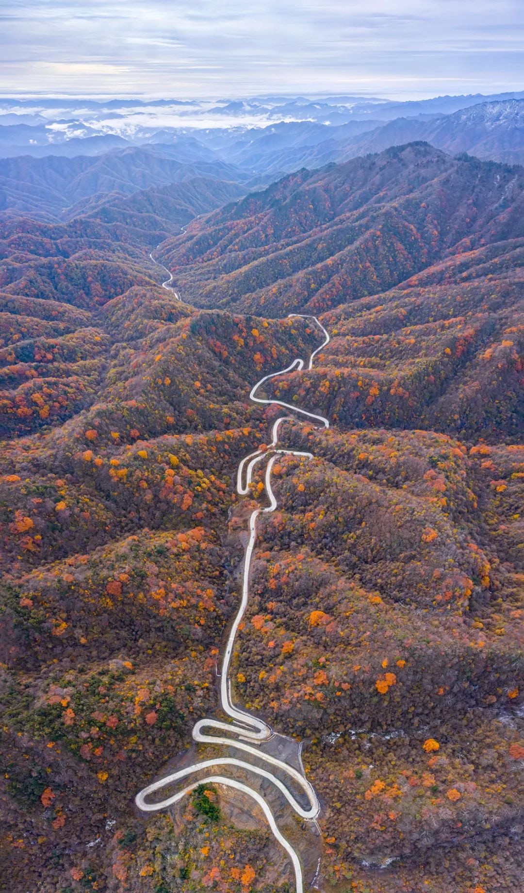 留坝紫柏山国家森林公园旅游_留坝紫柏山旅游攻略_留坝紫柏山森林公园电话