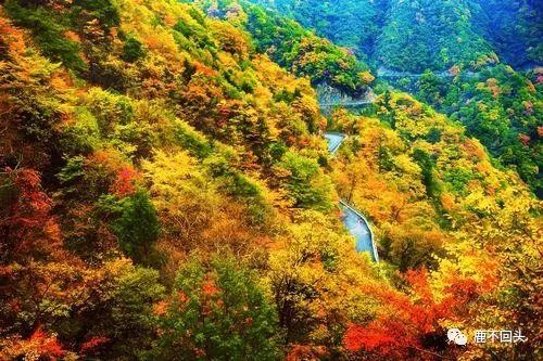神农架木鱼镇旅游攻略_神农架木鱼镇特色菜_神农架木鱼镇避暑
