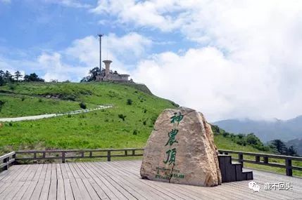 神农架木鱼镇特色菜_神农架木鱼镇旅游攻略_神农架木鱼镇避暑