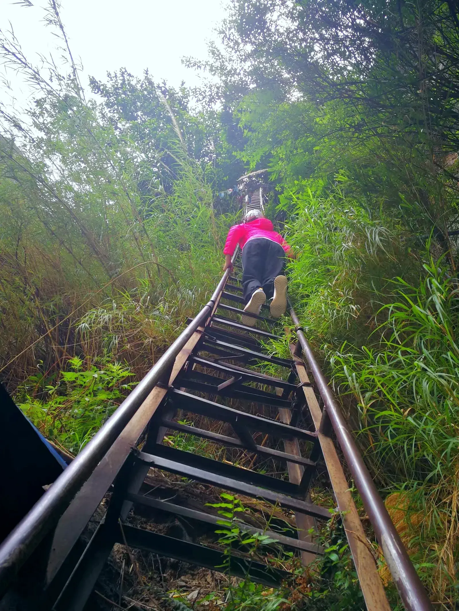 白水台景区_白水台旅游攻略_白水台一日游