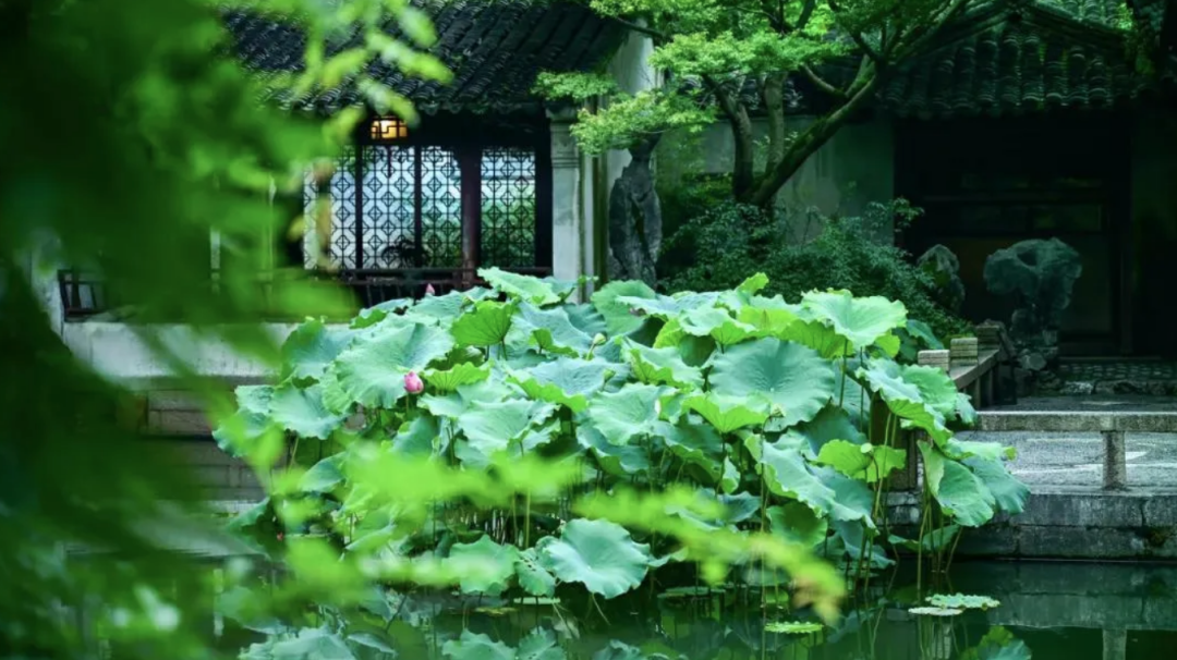 东甲岛旅游攻略_岛上旅游_东岛旅游攻略一天