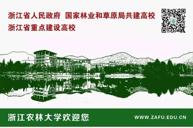 临安攻略_临安旅游景点攻略_杭州临安旅游攻略