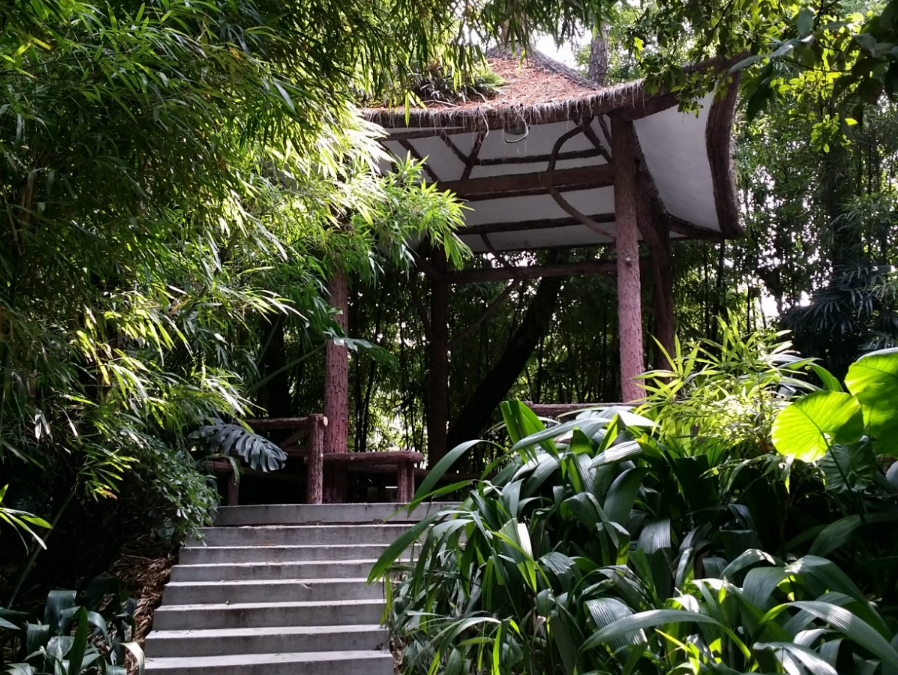 广州海洋馆旅游攻略_广州海洋馆游玩攻略_广州海洋馆攻略好玩吗