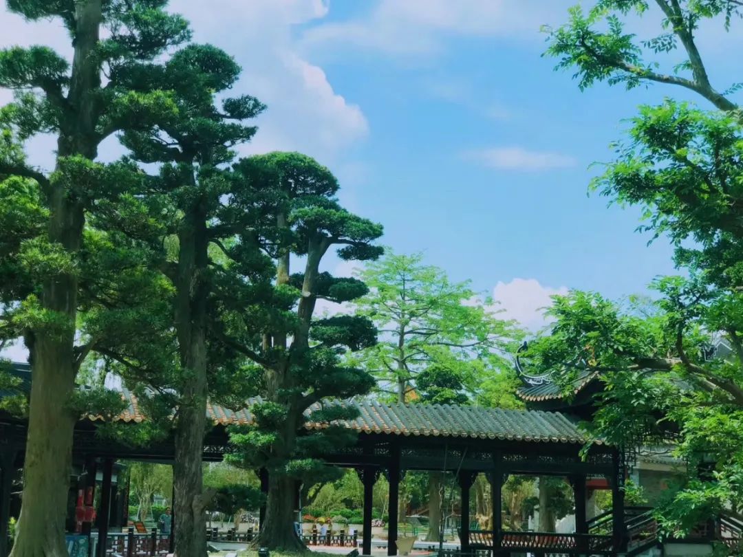 广州海洋馆游玩攻略_广州海洋馆攻略好玩吗_广州海洋馆旅游攻略