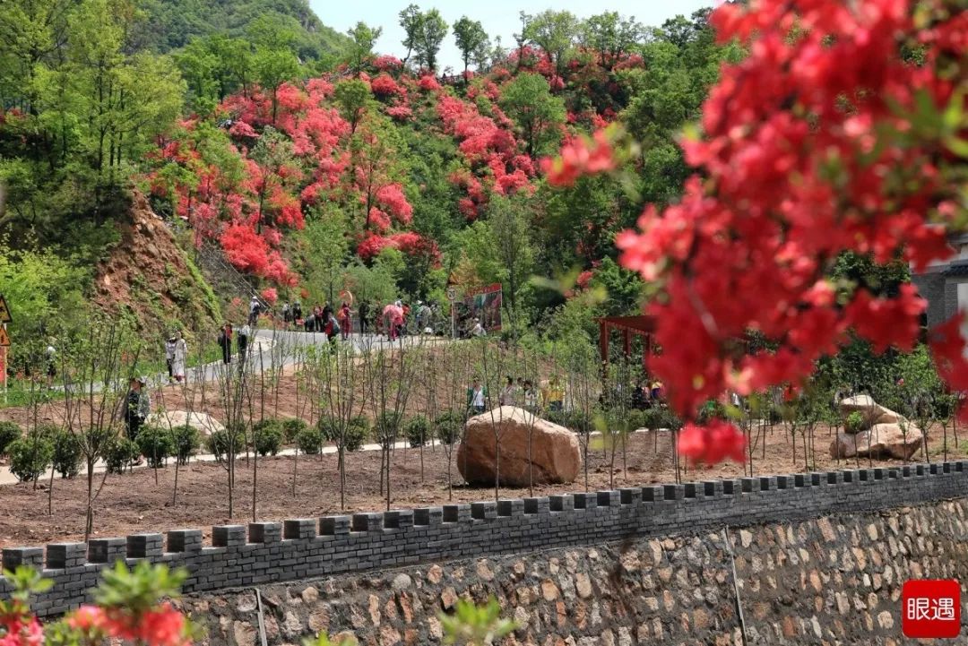 河南白云山旅游攻略_河南白云山旅游攻略_河南白云山旅游攻略