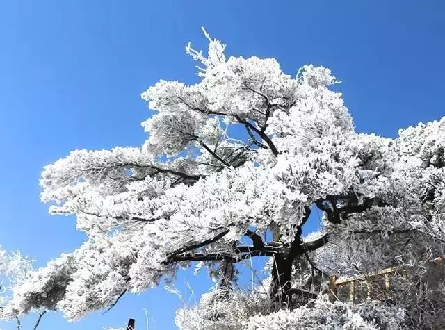 河南白云山旅游攻略_河南白云山旅游攻略_河南白云山旅游攻略