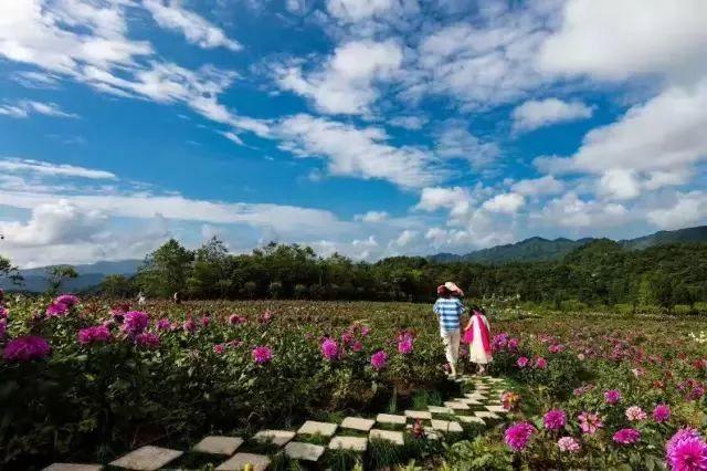 石柱黄水景区图片_石柱黄水公园旅游攻略_石柱黄水一日游