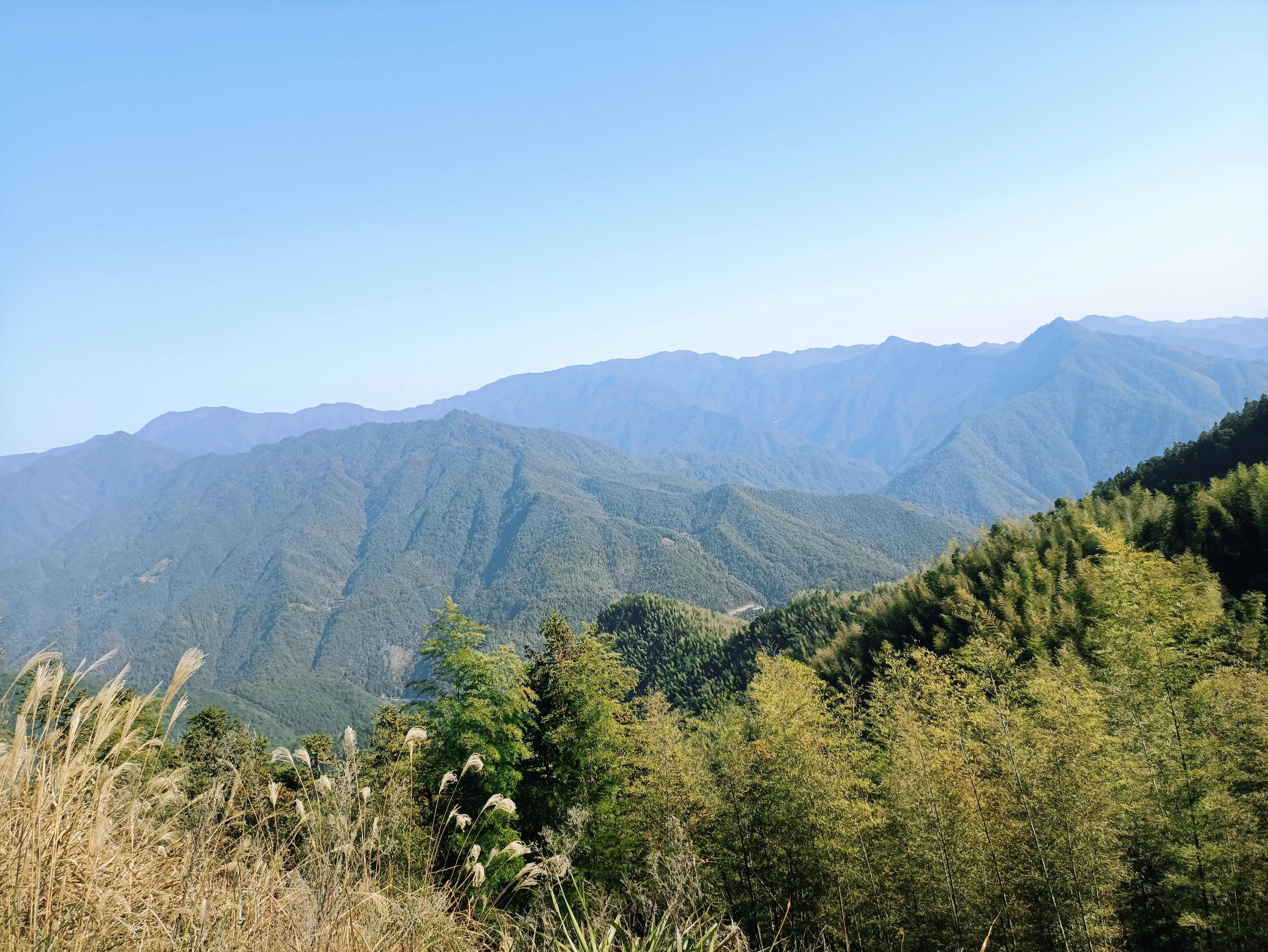 墨脱旅游须知_墨脱旅游攻略_墨脱旅游线路